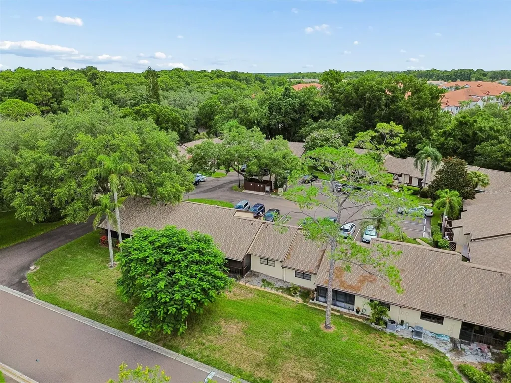 2903 Fig Court Palm Harbor FL 34684