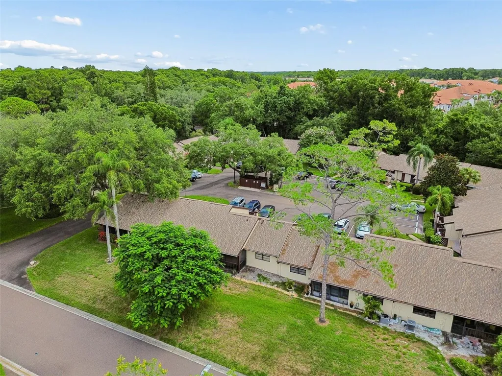 2903 Fig Court Palm Harbor FL 34684