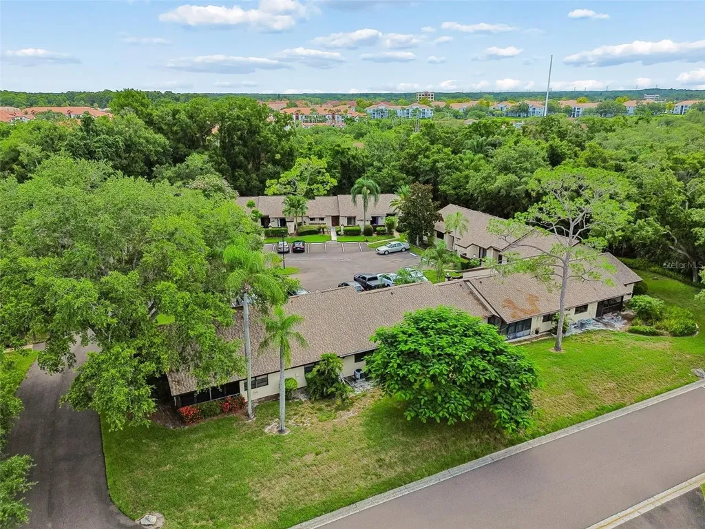 2903 Fig Court Palm Harbor FL 34684
