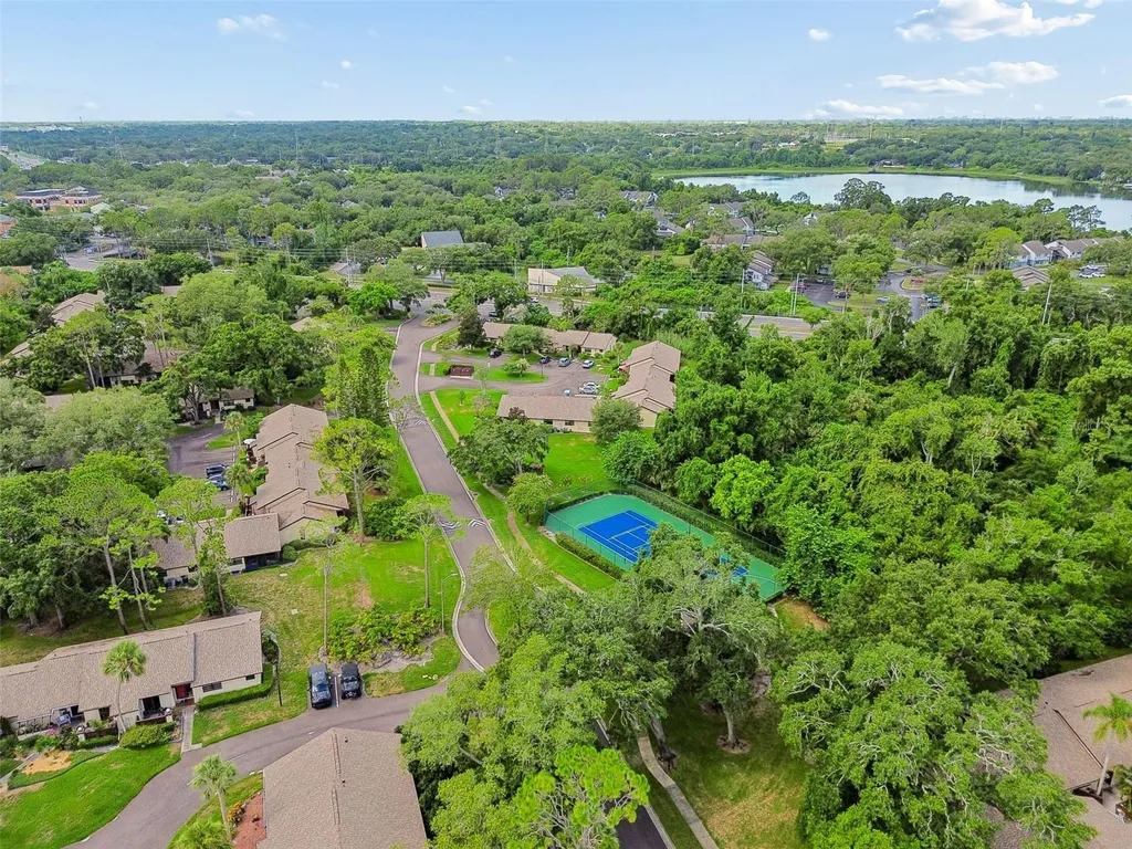 2903 Fig Court Palm Harbor FL 34684