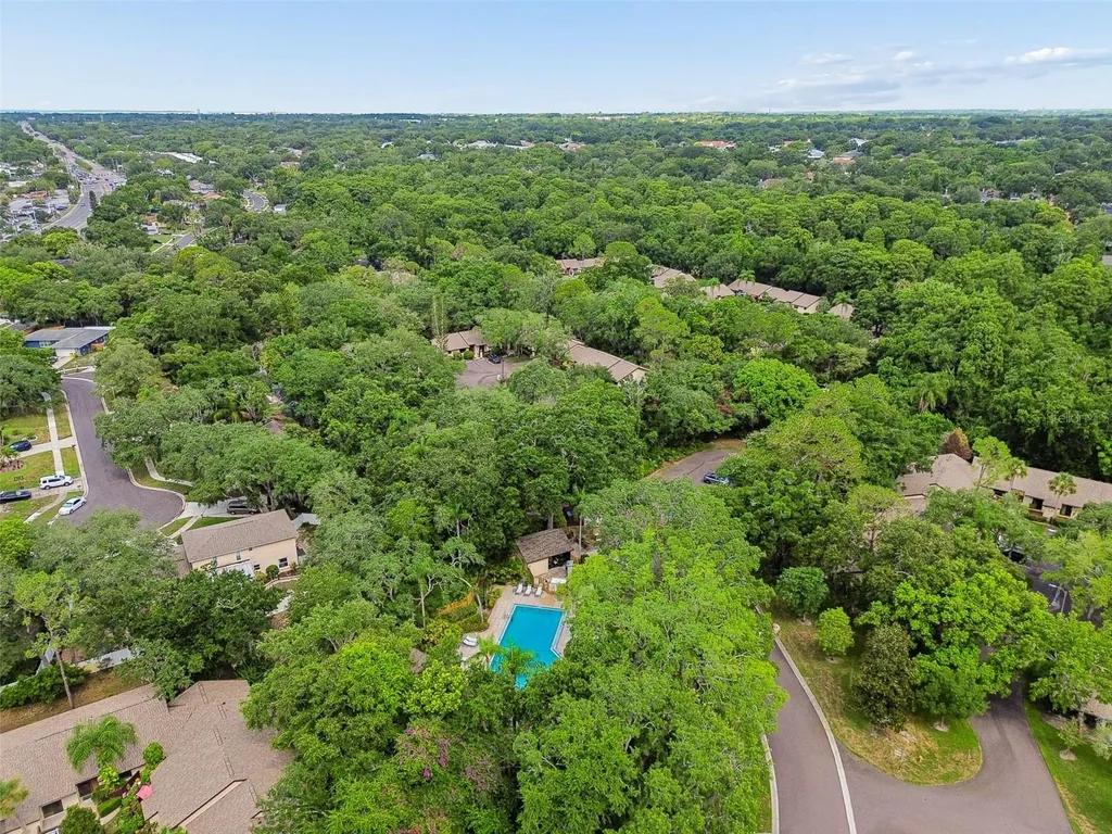 2903 Fig Court Palm Harbor FL 34684