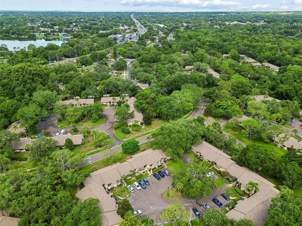 2903 Fig Court Palm Harbor FL 34684
