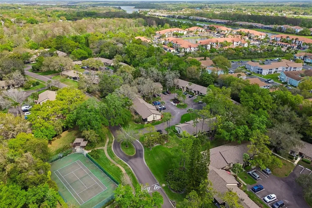 2903 Fig Court Palm Harbor FL 34684