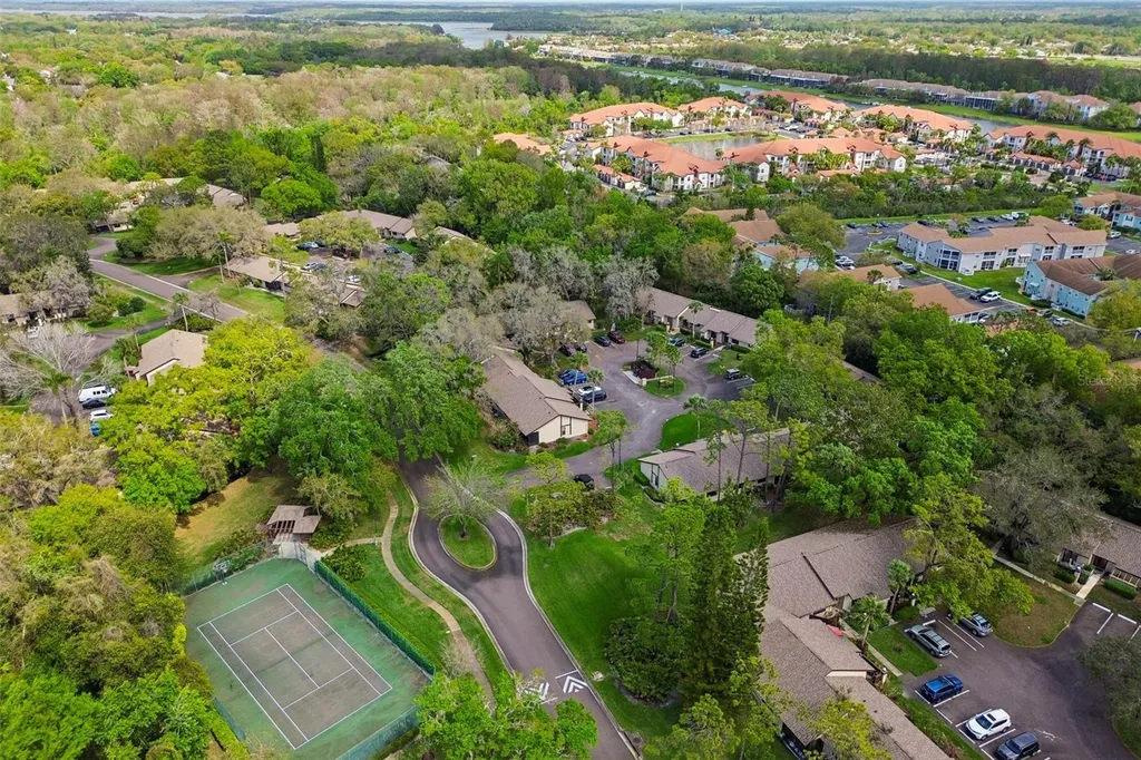 2903 Fig Court Palm Harbor FL 34684
