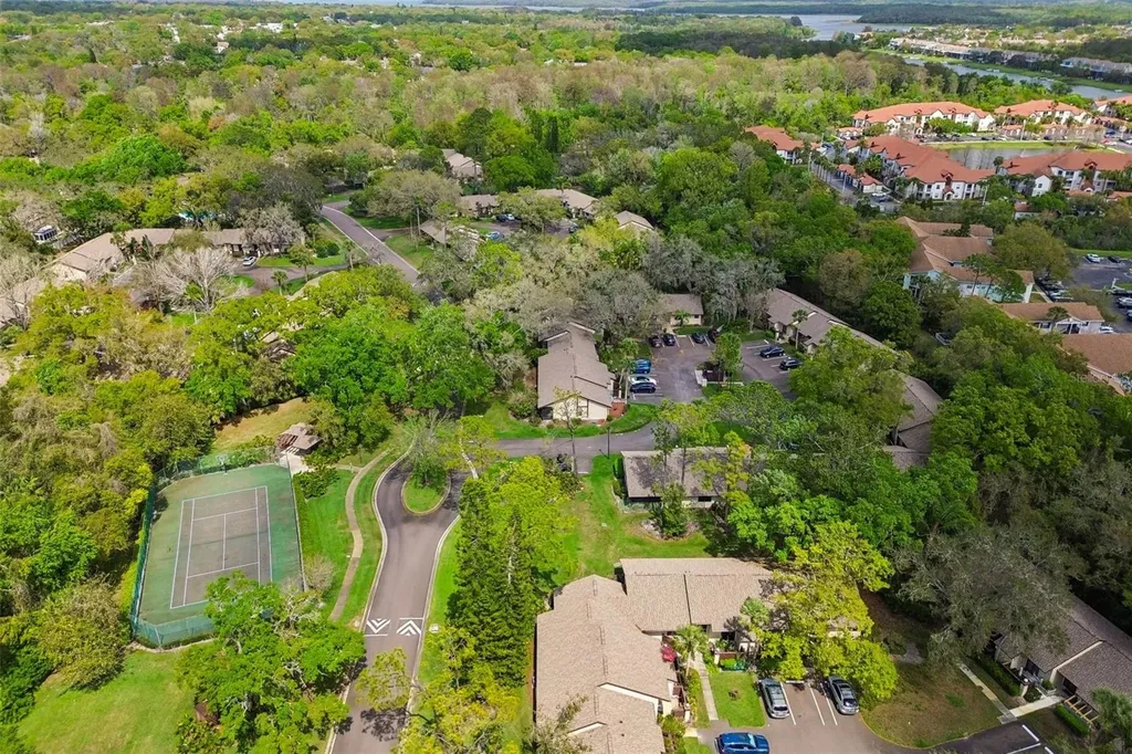2903 Fig Court Palm Harbor FL 34684
