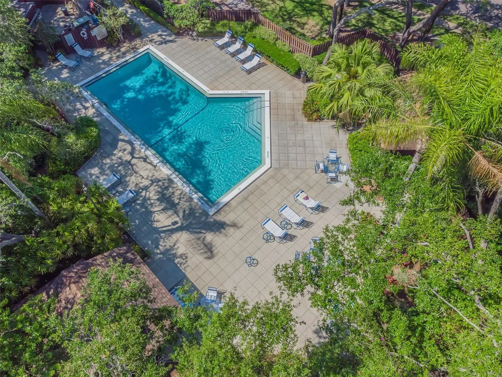 2903 Fig Court Palm Harbor FL 34684