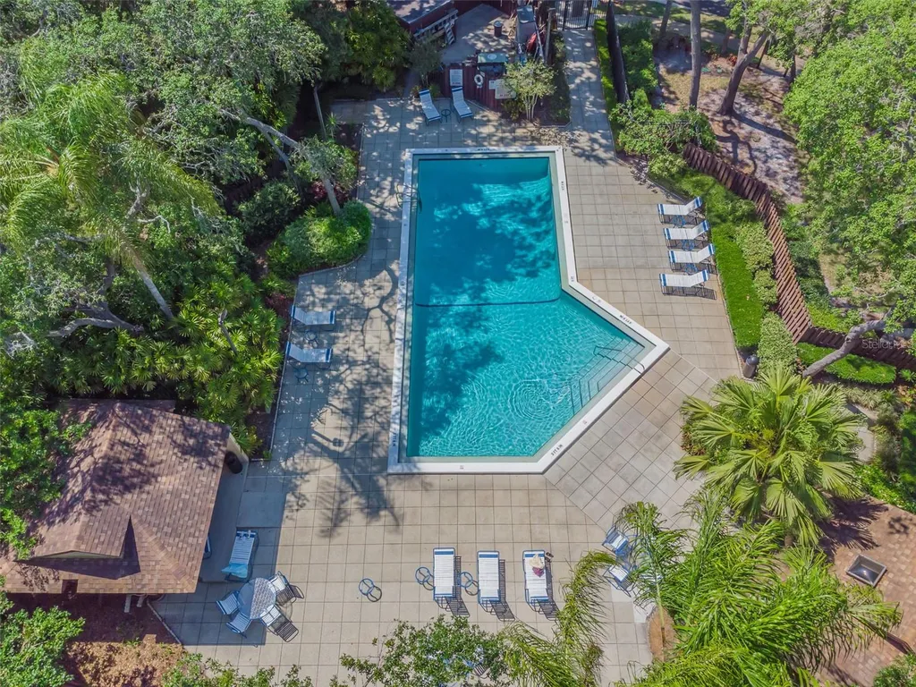 2903 Fig Court Palm Harbor FL 34684