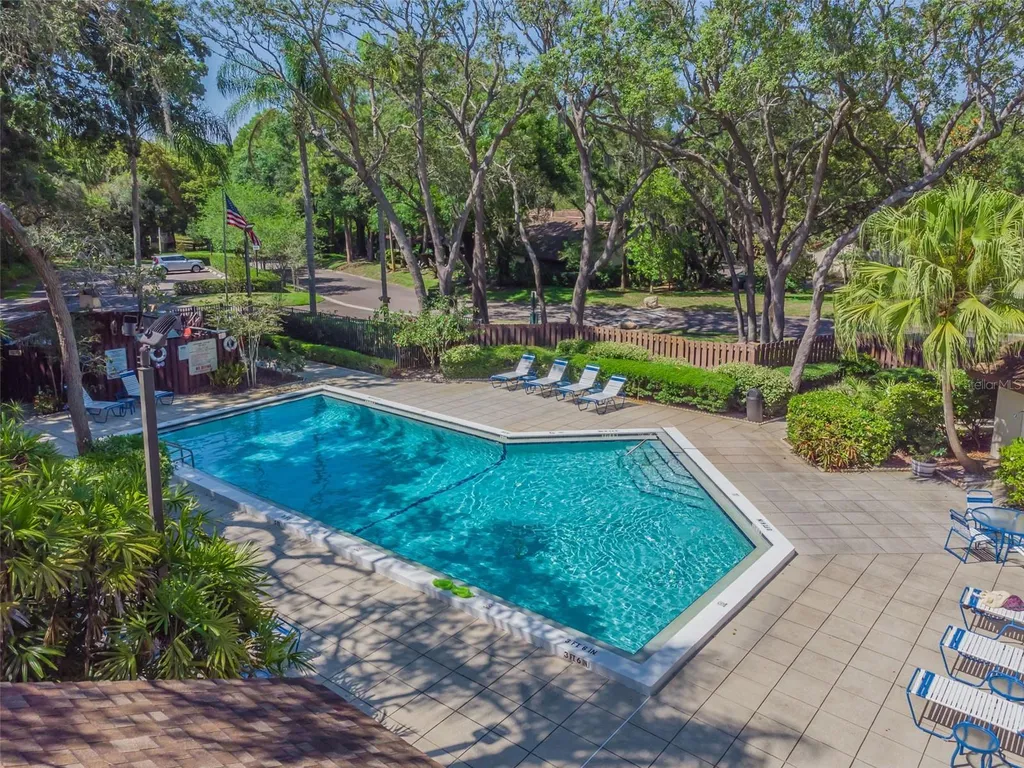2903 Fig Court Palm Harbor FL 34684