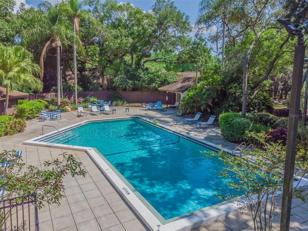 2903 Fig Court Palm Harbor FL 34684