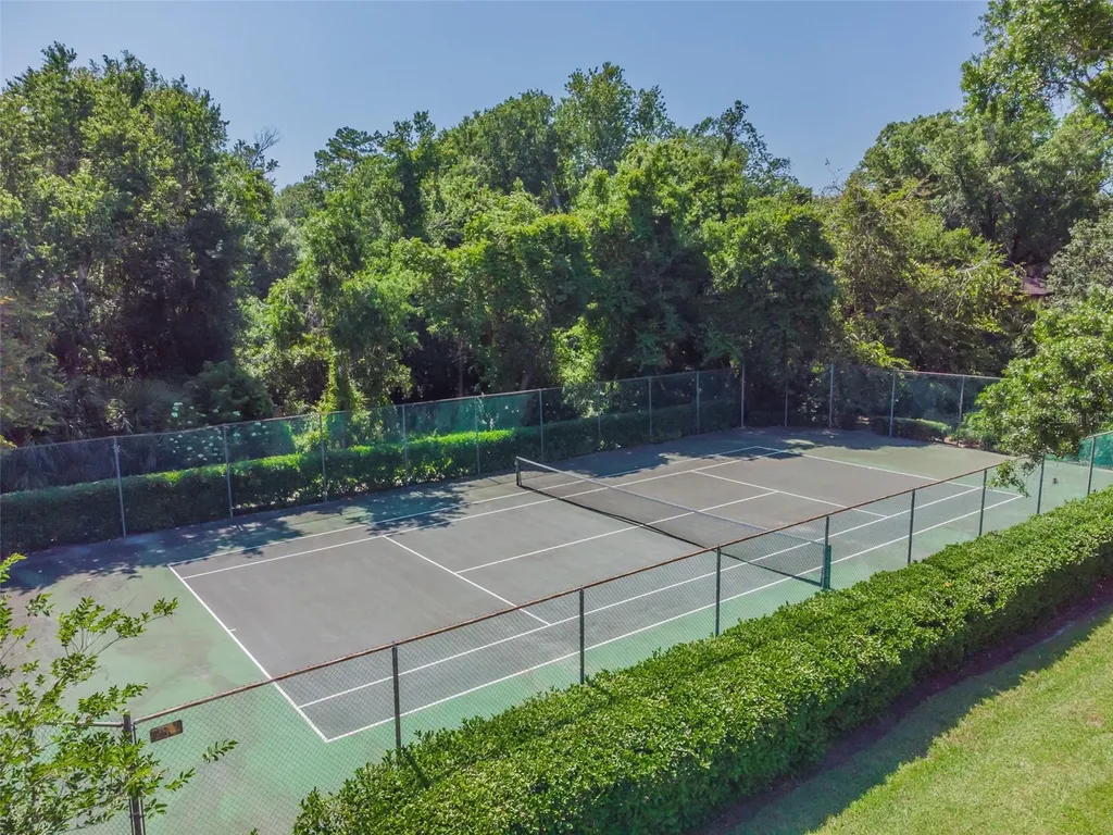 2903 Fig Court Palm Harbor FL 34684