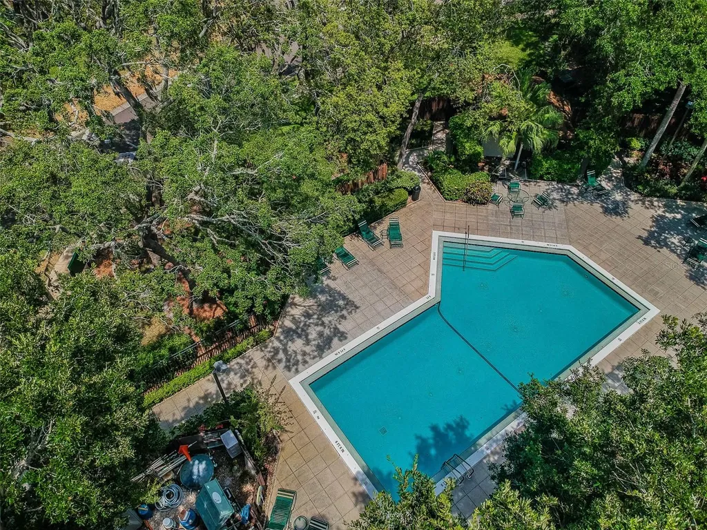 2903 Fig Court Palm Harbor FL 34684