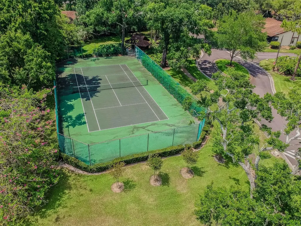 2903 Fig Court Palm Harbor FL 34684