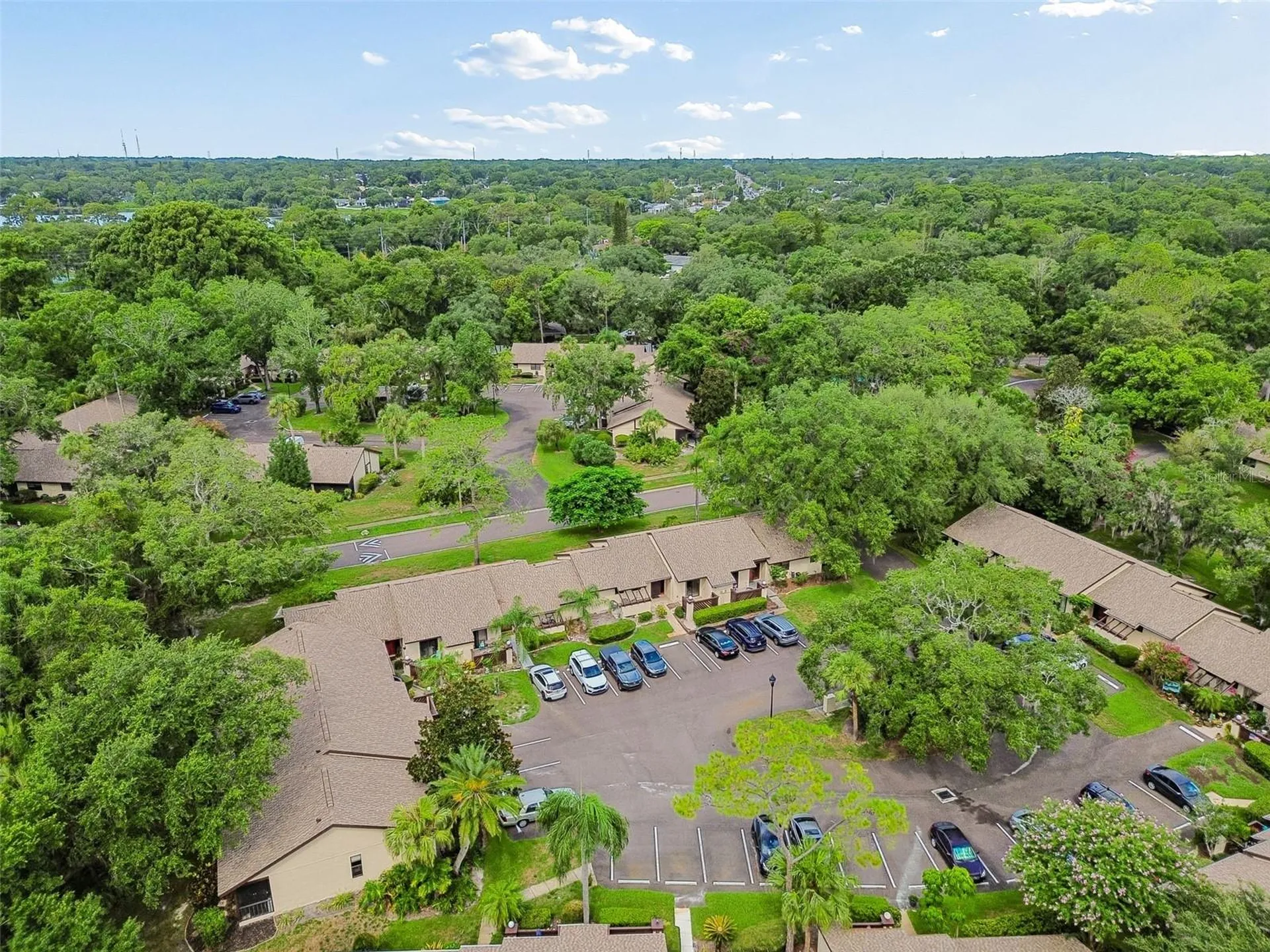 2903 Fig Court Palm Harbor FL 34684