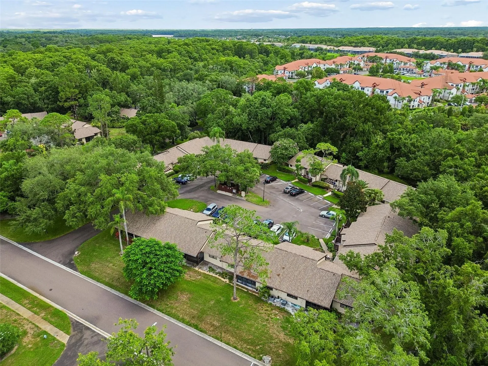 2903 Fig Court Palm Harbor FL 34684