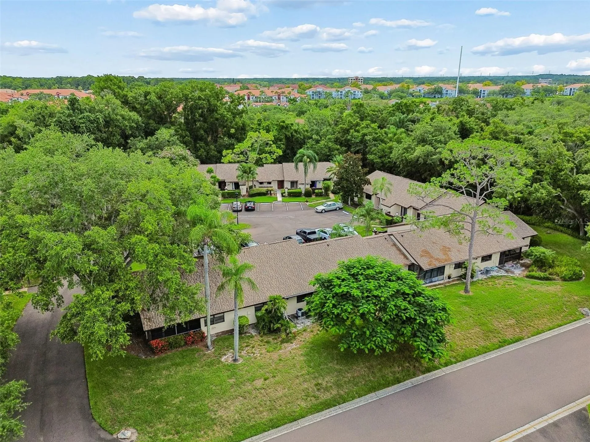 2903 Fig Court Palm Harbor FL 34684
