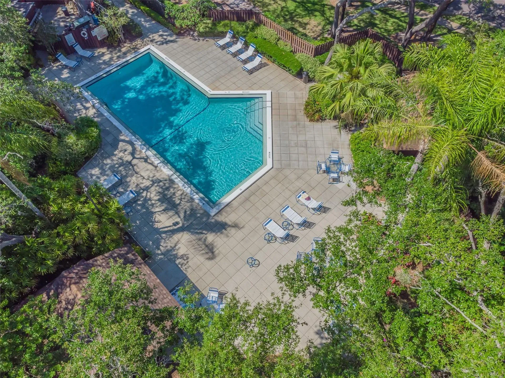 2903 Fig Court Palm Harbor FL 34684