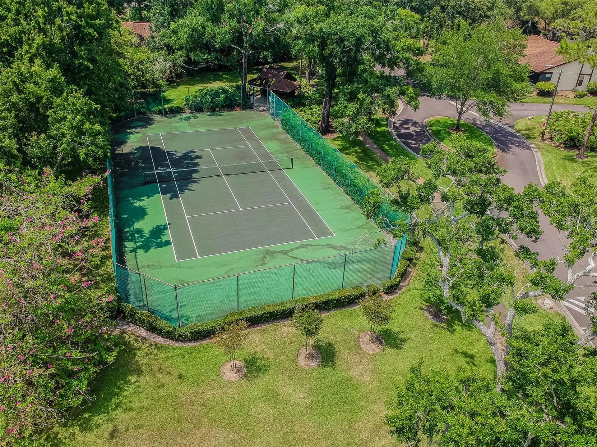 2903 Fig Court Palm Harbor FL 34684
