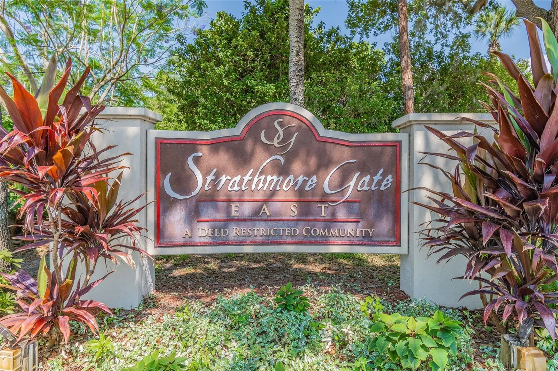 2903 Fig Court Palm Harbor FL 34684