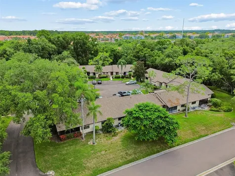 2903 Fig Court Palm Harbor FL 34684