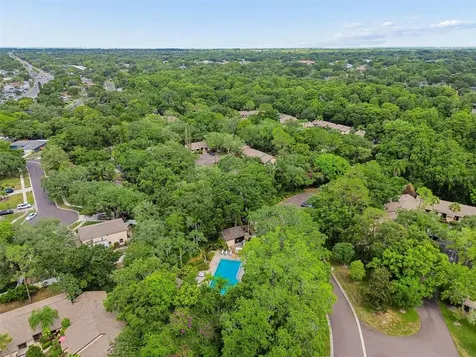 2903 Fig Court Palm Harbor FL 34684