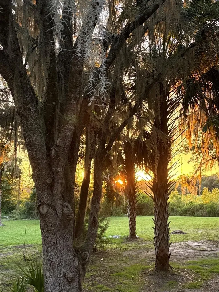 5435 NE 153rd Place Road Citra FL 32113