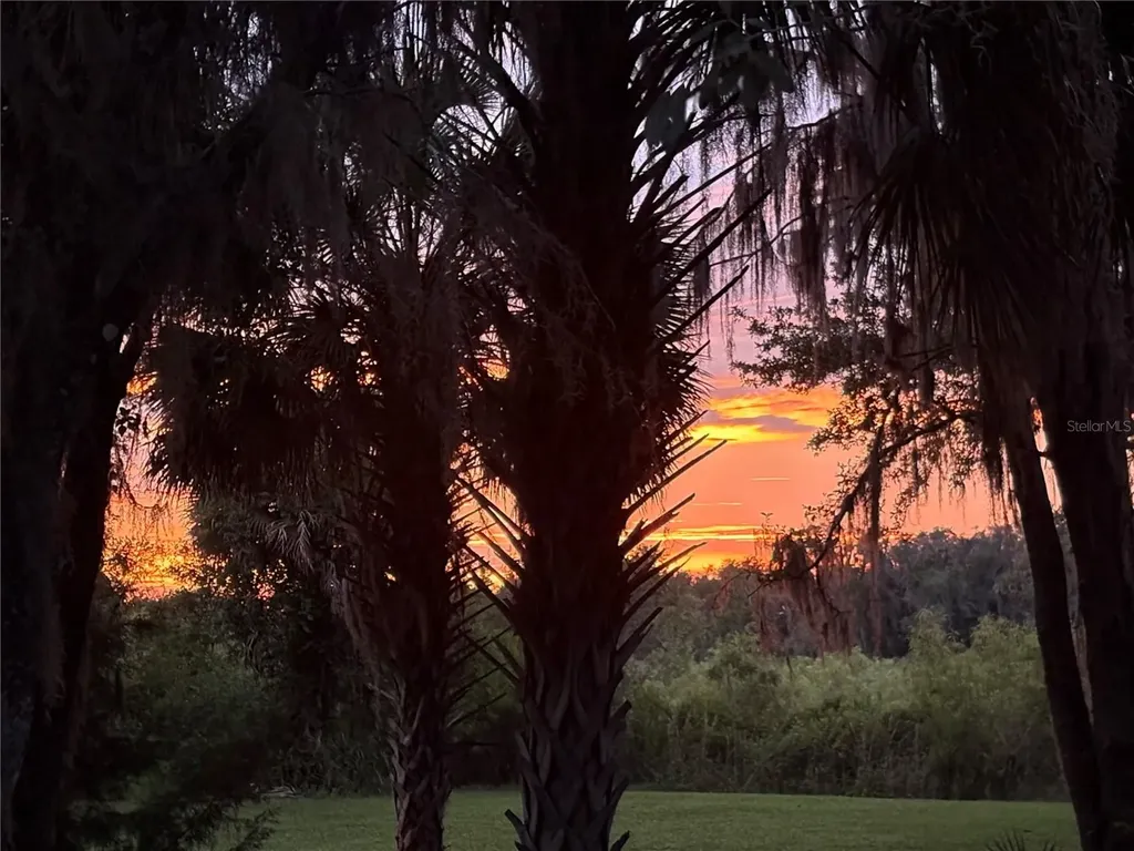 5435 NE 153rd Place Road Citra FL 32113
