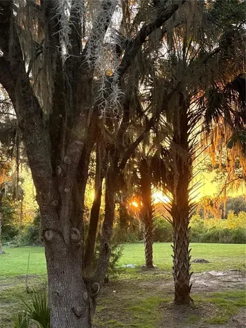 5435 NE 153rd Place Road Citra FL 32113