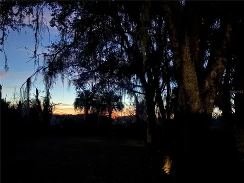 5435 NE 153rd Place Road Citra FL 32113