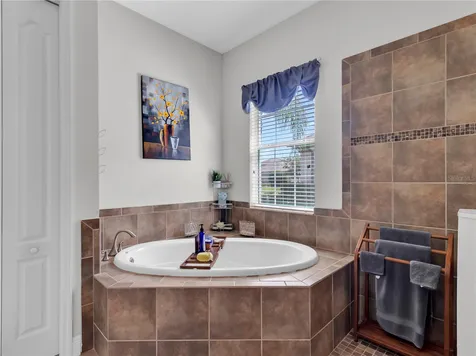 32430 Silvercreek Way Wesley Chapel FL 33545