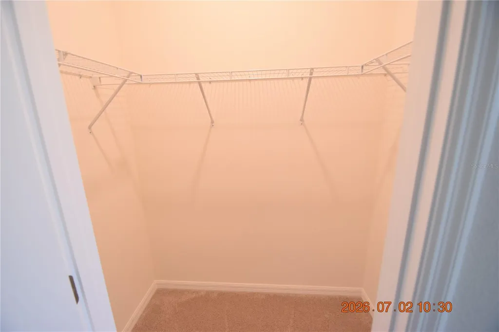 32003 Conchshell Sail Street Wesley Chapel FL 33545