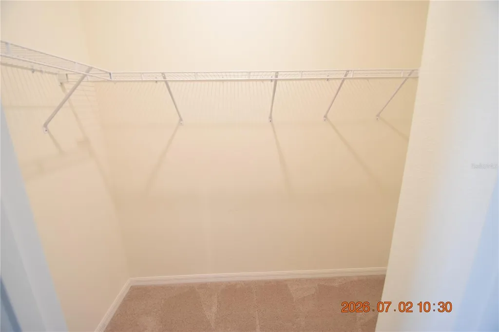 32003 Conchshell Sail Street Wesley Chapel FL 33545