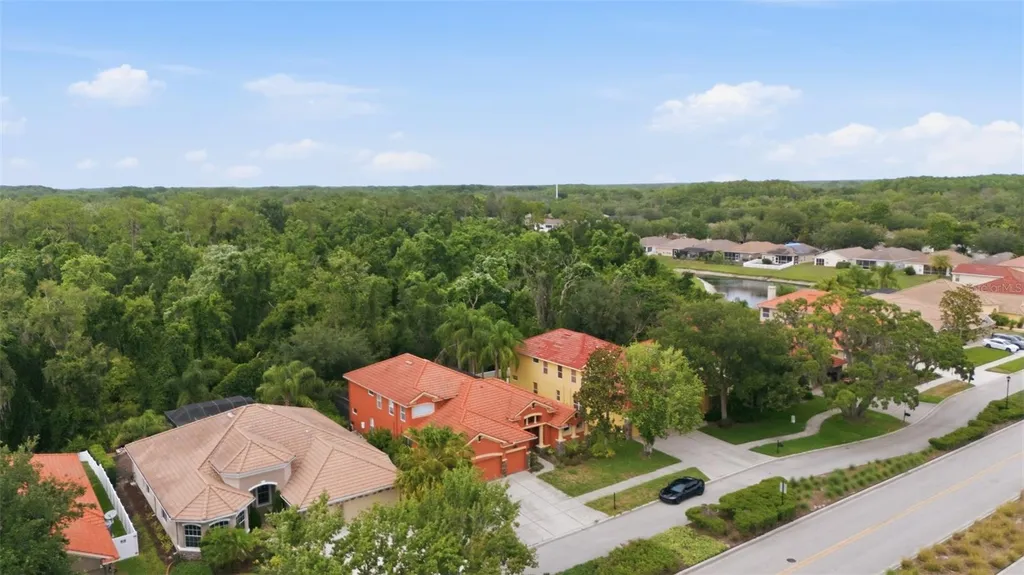 11639 Belle Haven Drive New Port Richey FL 34654