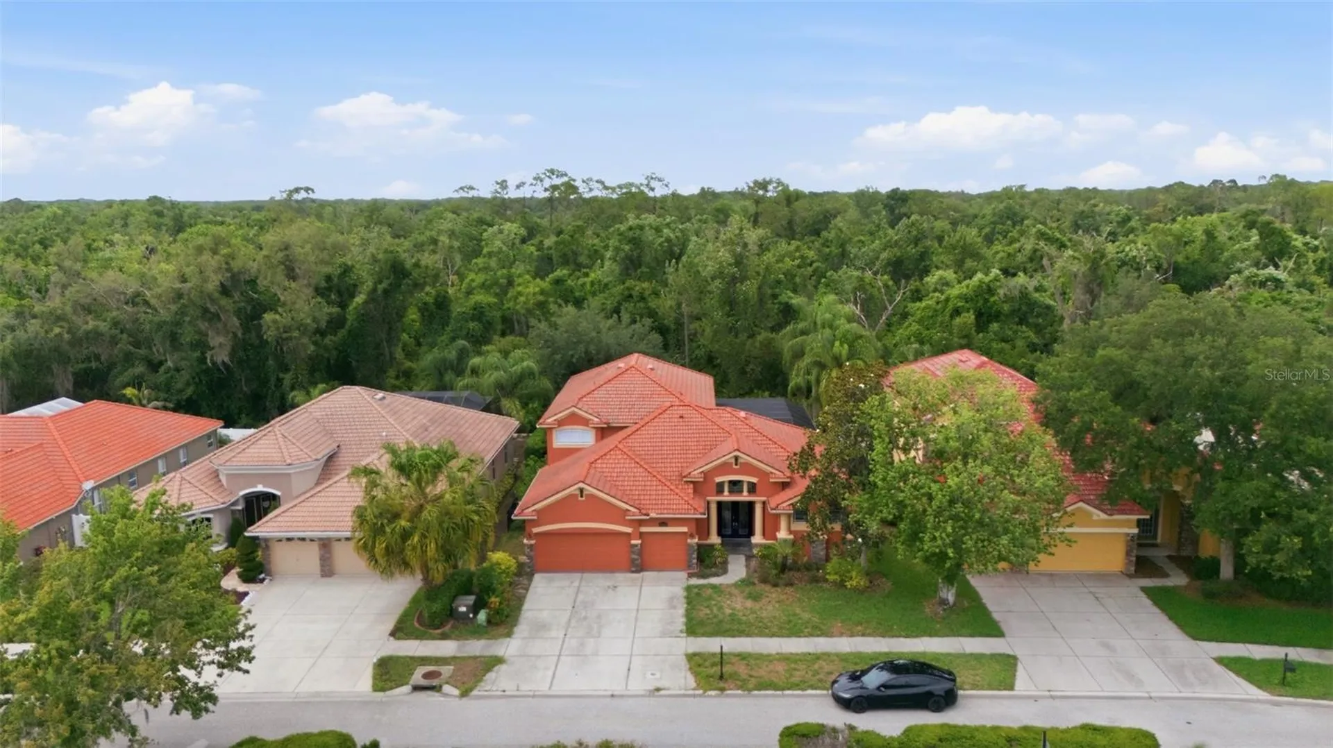 11639 Belle Haven Drive New Port Richey FL 34654