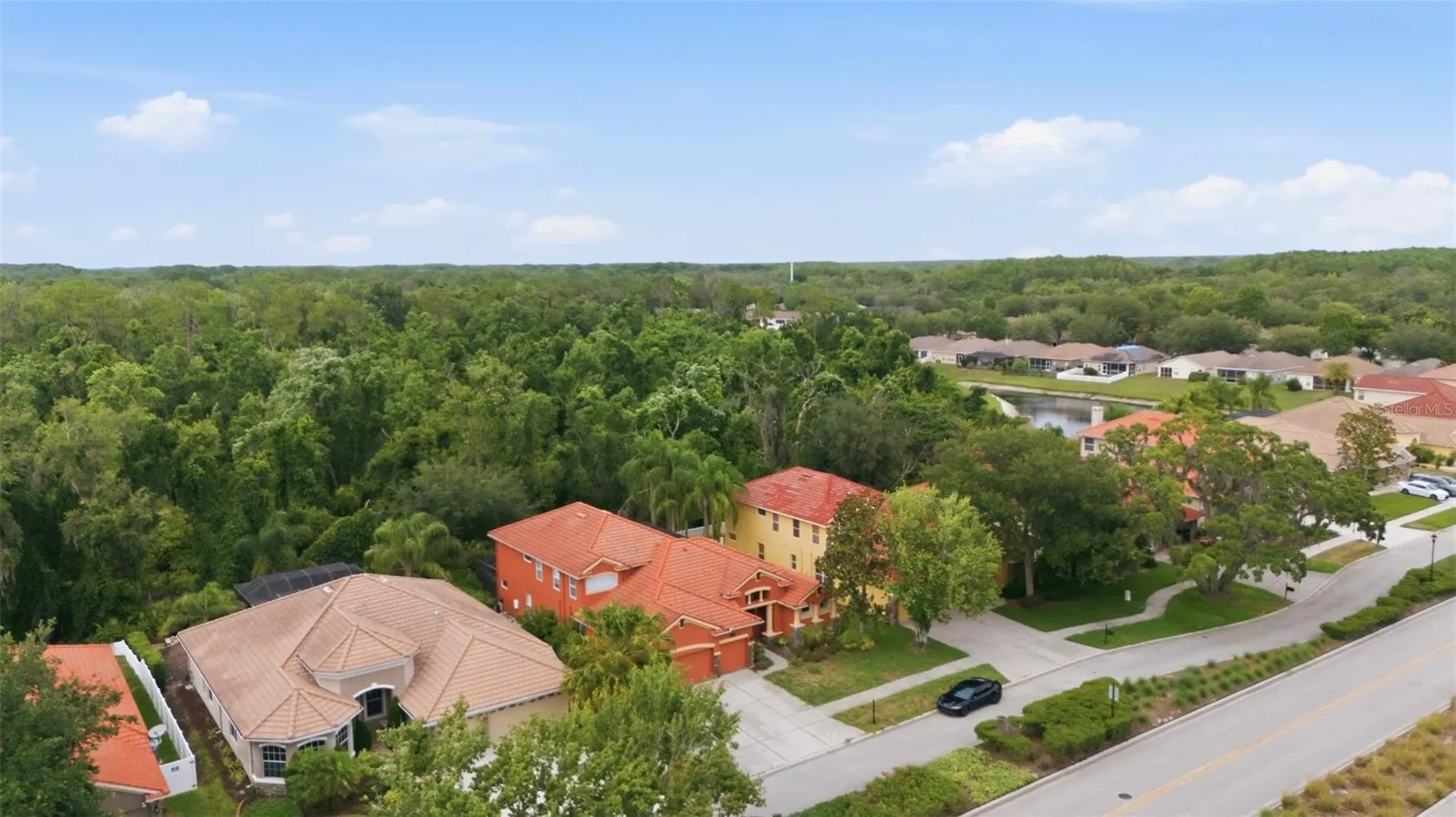 11639 Belle Haven Drive New Port Richey FL 34654