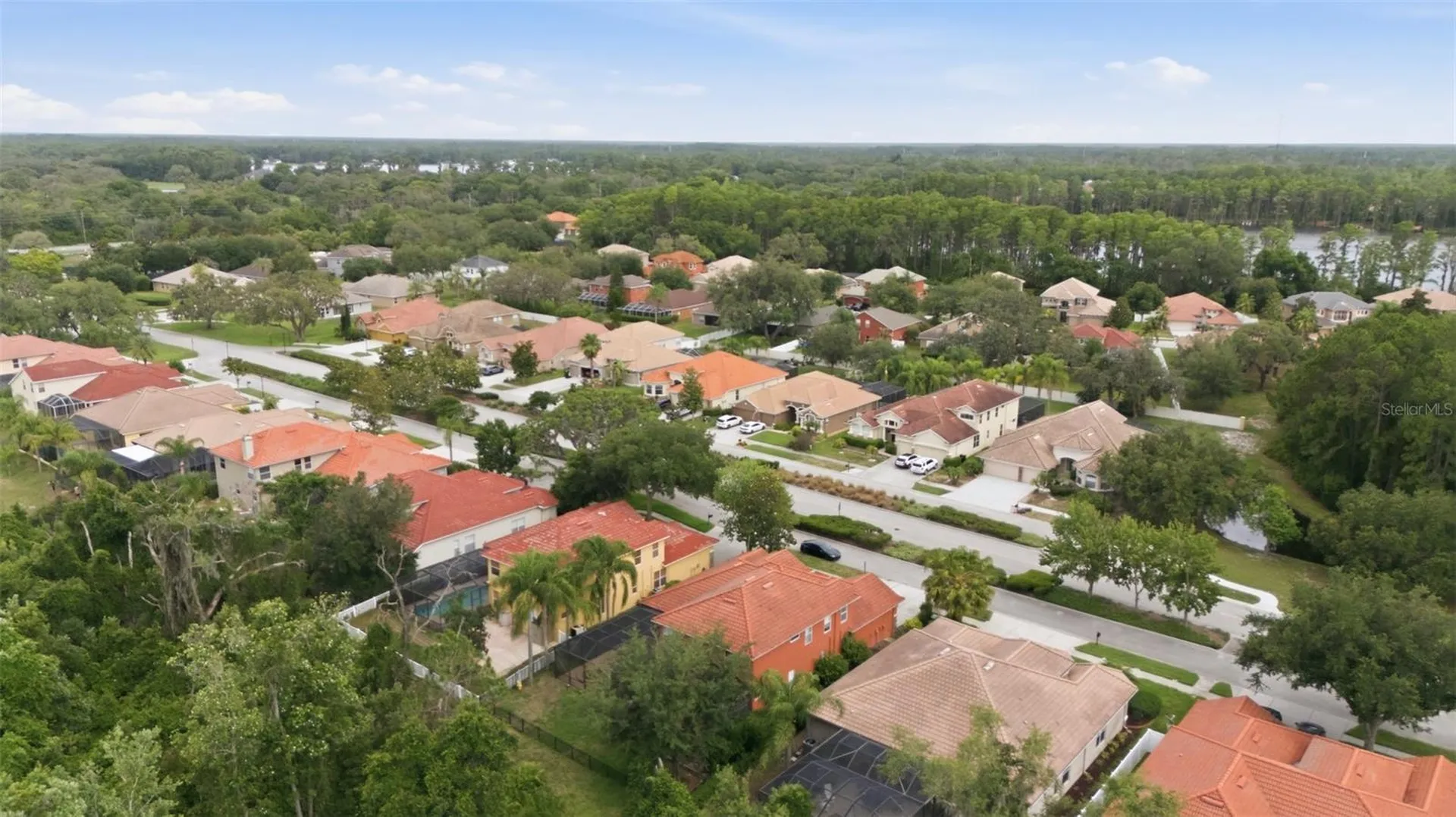 11639 Belle Haven Drive New Port Richey FL 34654