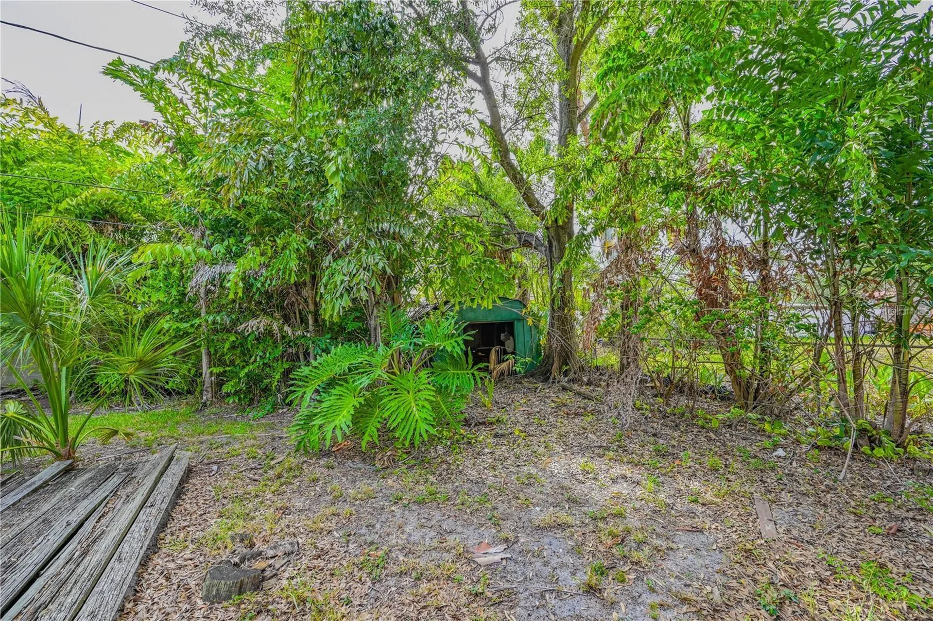 504 W Davis Boulevard Tampa FL 33606