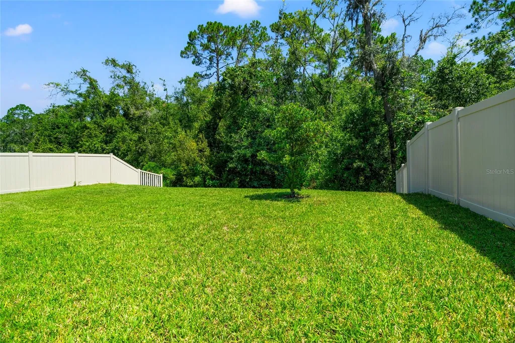30309 Marquette Avenue Wesley Chapel FL 33545