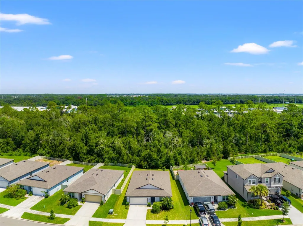 30309 Marquette Avenue Wesley Chapel FL 33545