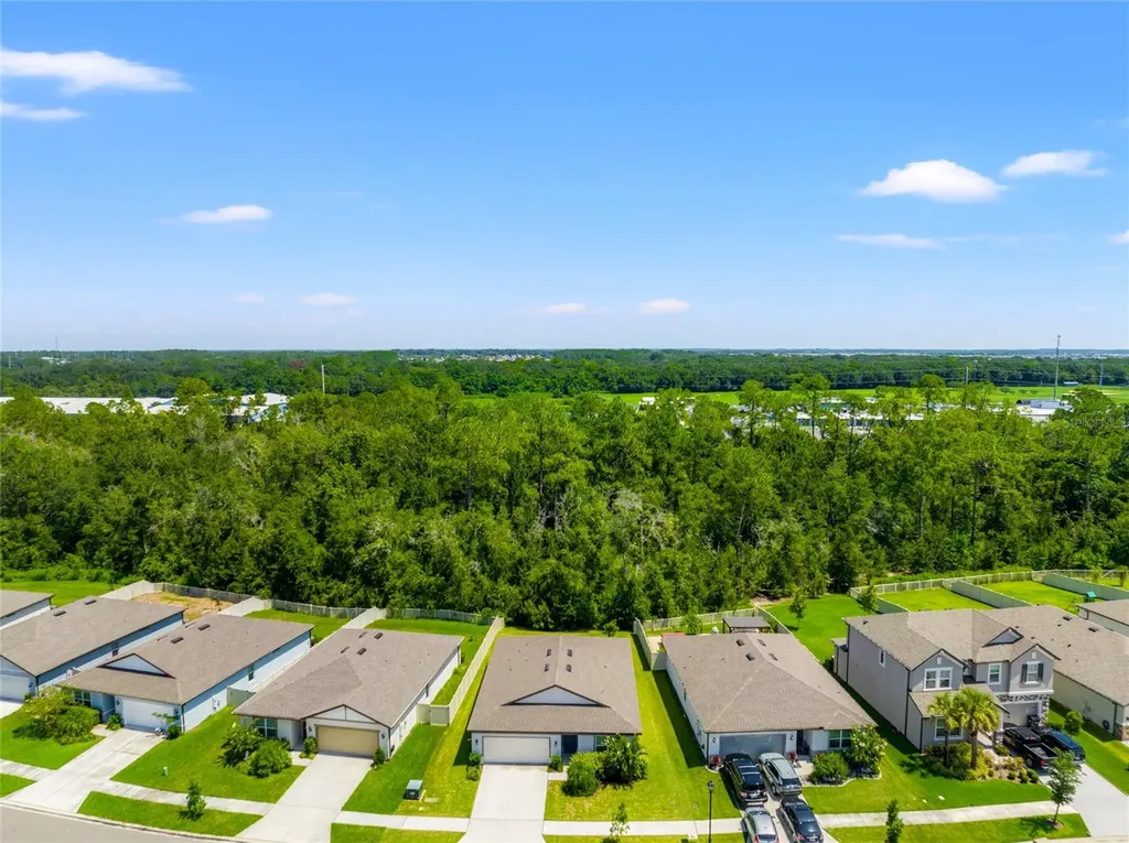 30309 Marquette Avenue Wesley Chapel FL 33545