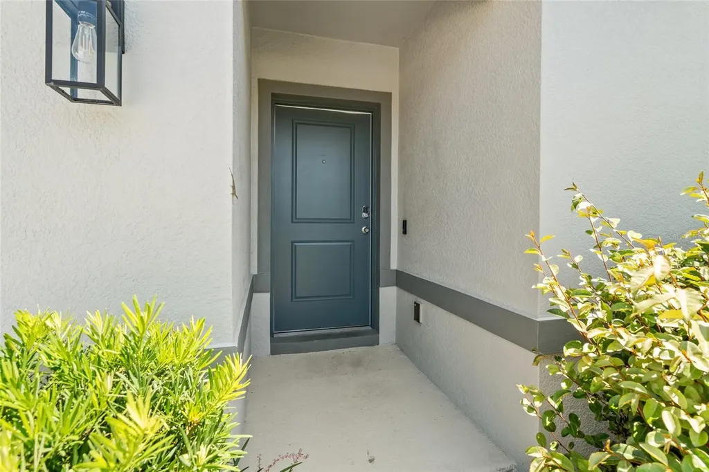 30309 Marquette Avenue Wesley Chapel FL 33545