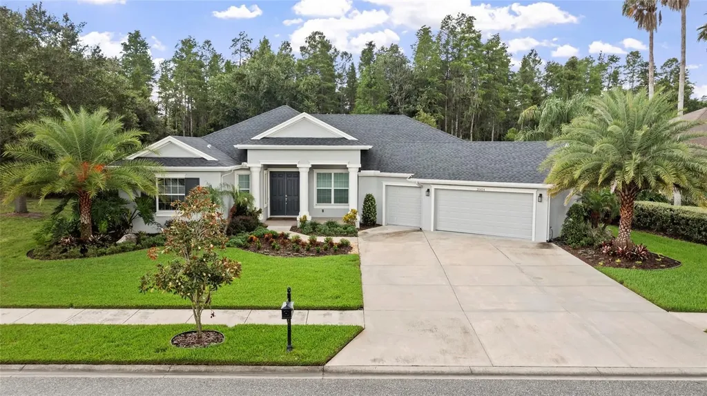 20454 Lace Cascade Road Land O Lakes FL 34637
