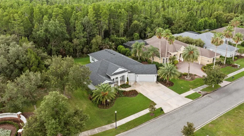 20454 Lace Cascade Road Land O Lakes FL 34637