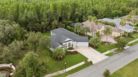 20454 Lace Cascade Road Land O Lakes FL 34637