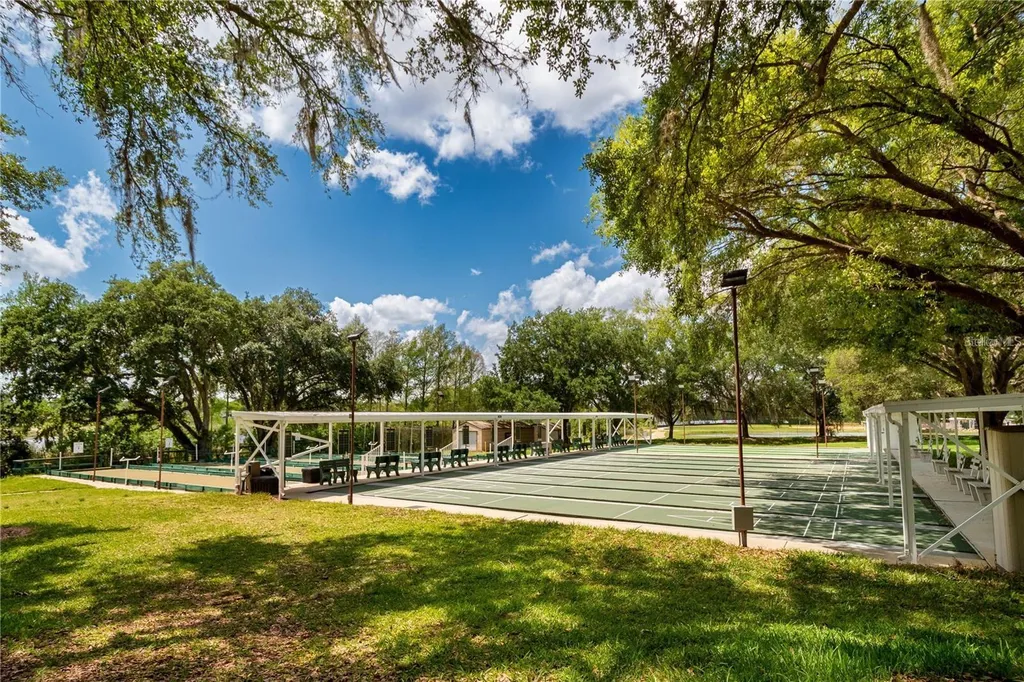 3447 Mount Hope Loop Leesburg FL 34748