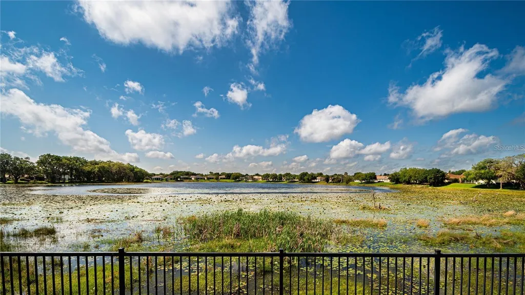 3447 Mount Hope Loop Leesburg FL 34748