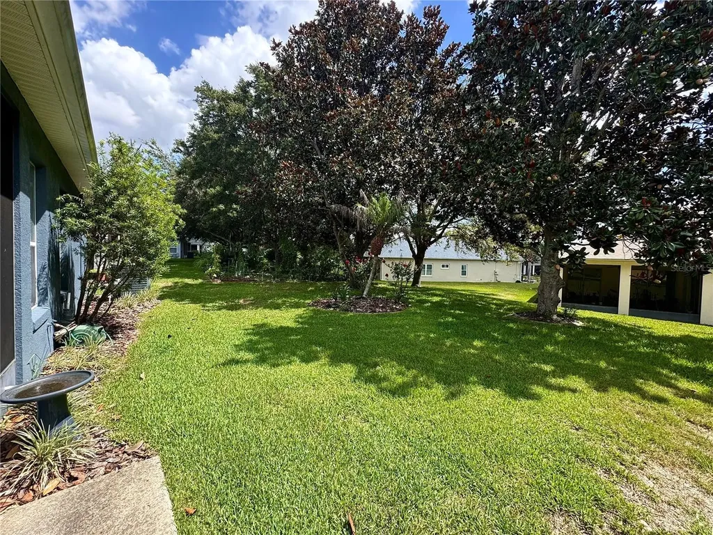 3447 Mount Hope Loop Leesburg FL 34748
