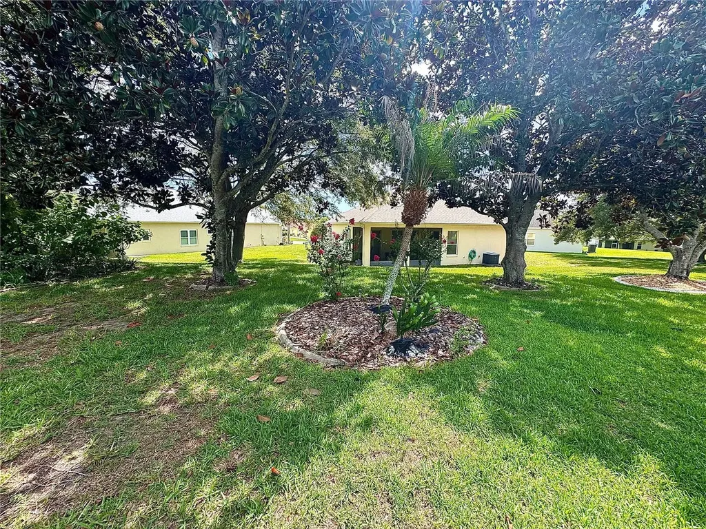 3447 Mount Hope Loop Leesburg FL 34748