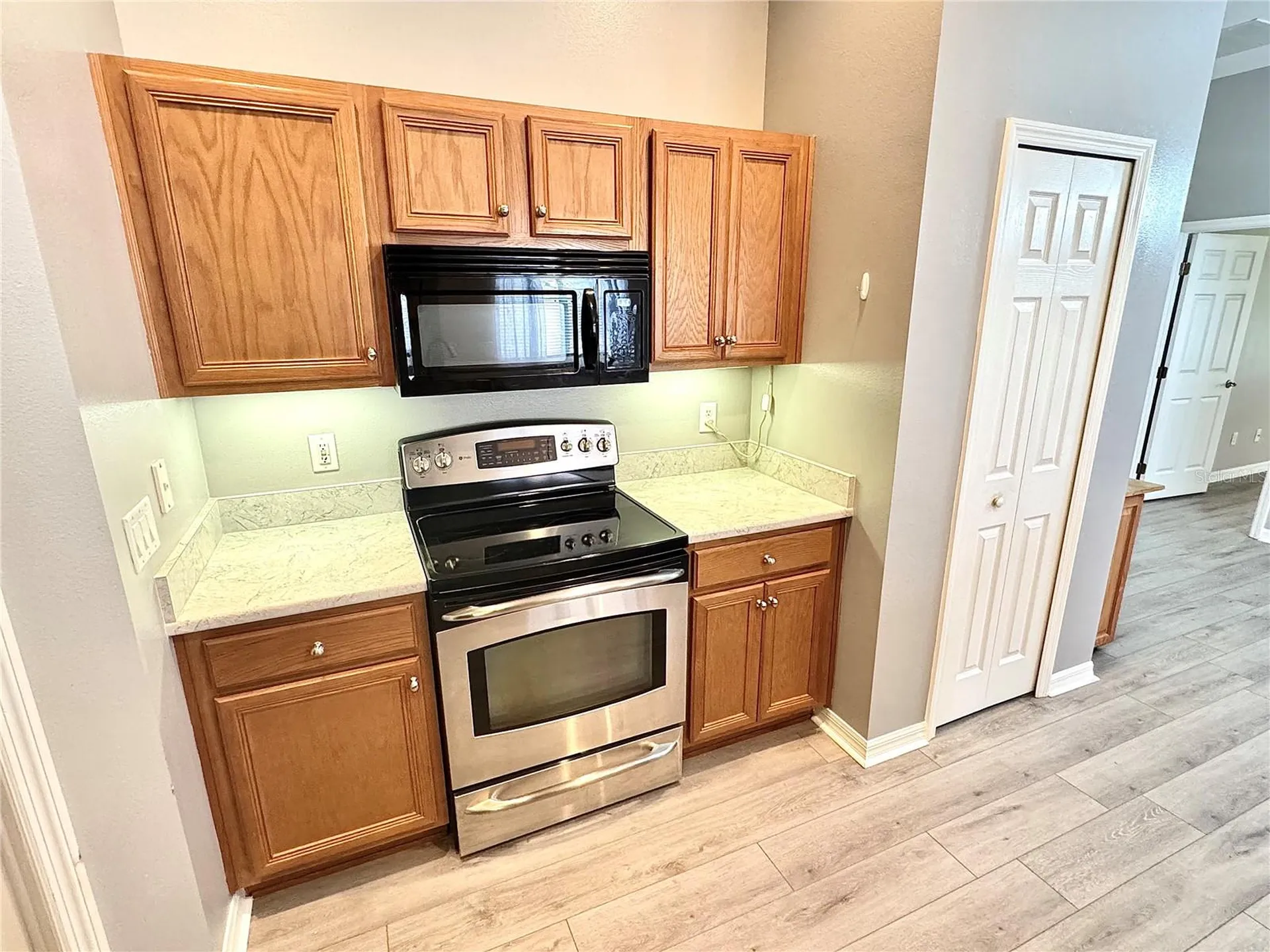 3447 Mount Hope Loop Leesburg FL 34748