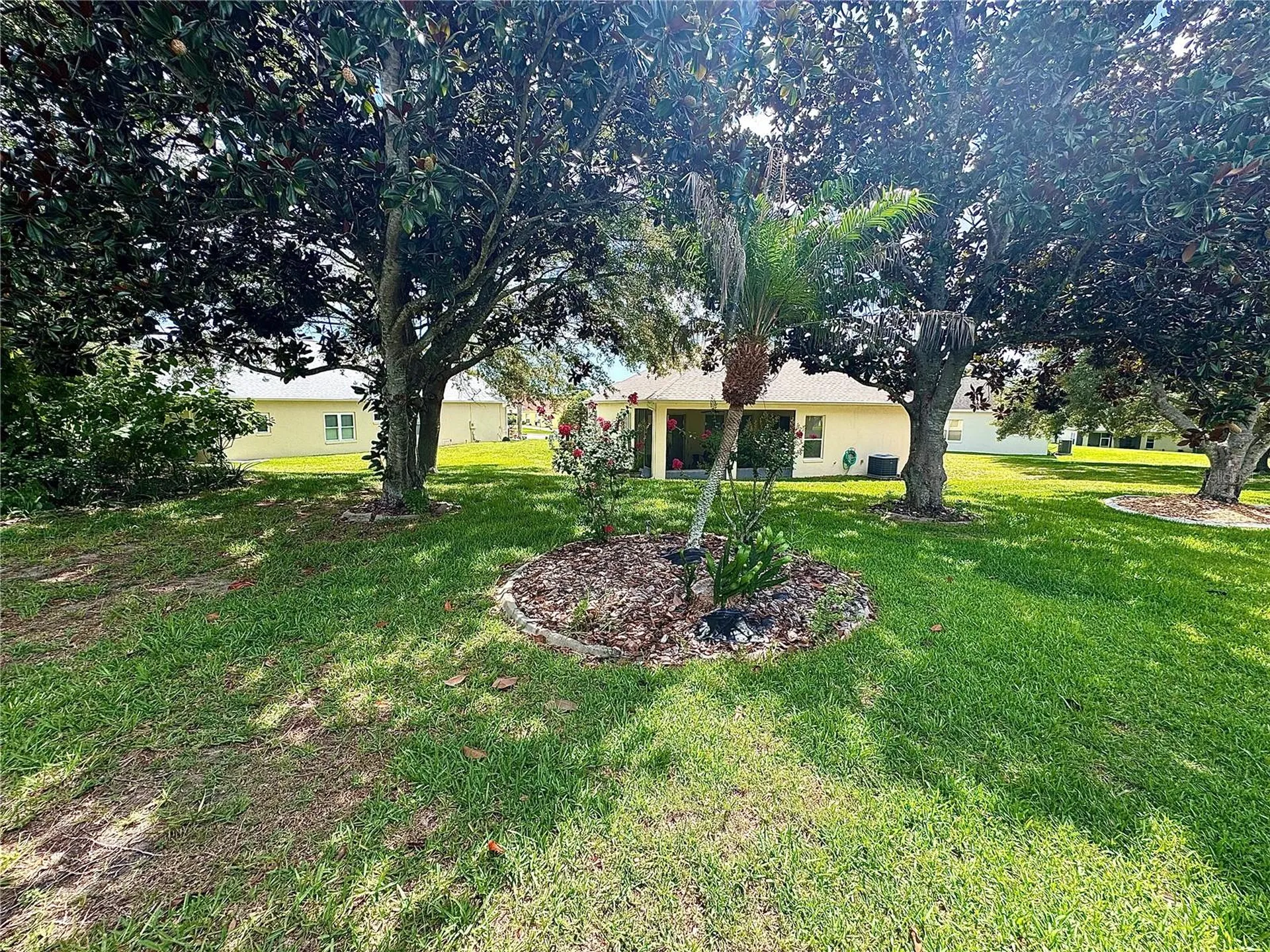 3447 Mount Hope Loop Leesburg FL 34748