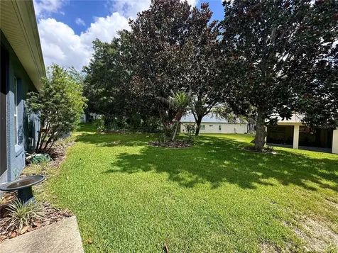 3447 Mount Hope Loop Leesburg FL 34748